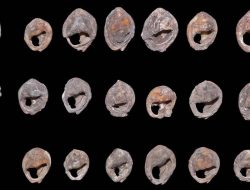 Perhiasan Tertua di Dunia Ditemukan di Gua Maroko, Usianya 150.000 Tahun!