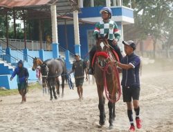 Kuda Romantic Spartan Sabet Juara 1 Kelas 4 Tahun DiIndonesia’s