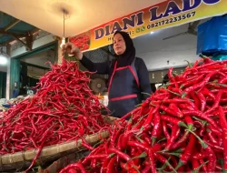 Harga Cabai Merah di Payakumbuh Melonjak hingga Rp110 Ribu per Kg akibat Dampak Bencana Sumbar