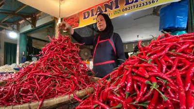 Harga cabai merah di Payakumbuh