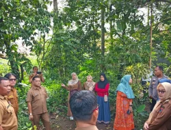 Program 3 Juta Rumah, PKP Payakumbuh Optimalkan SIRENG